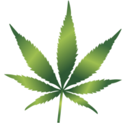 (c) Cannabis-oel.info